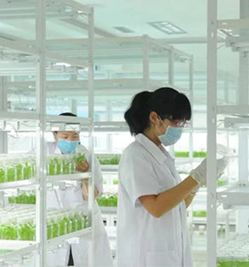蜜桃视频无码区在线观看儀器
