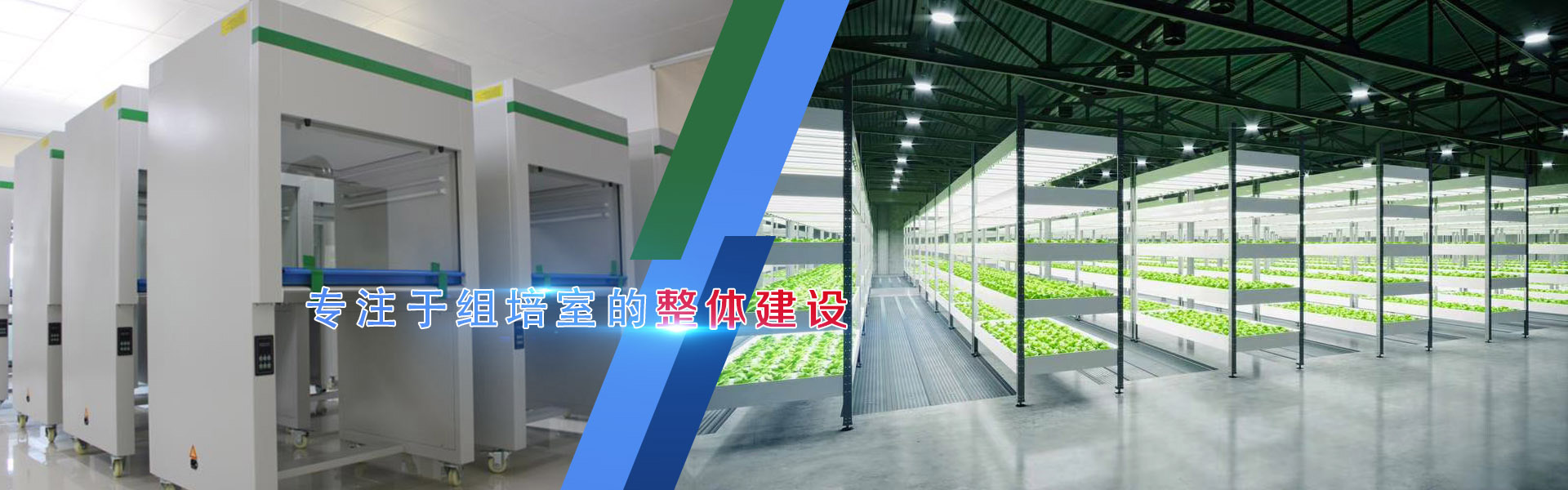 蜜桃视频无码区在线观看、蜜桃视频无码区在线观看架