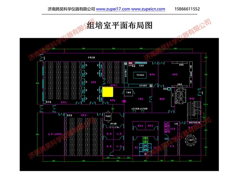 蜜桃视频无码区在线观看室
