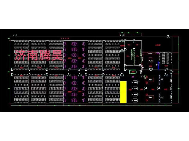 蜜桃视频无码区在线观看  蜜桃视频无码区在线观看室