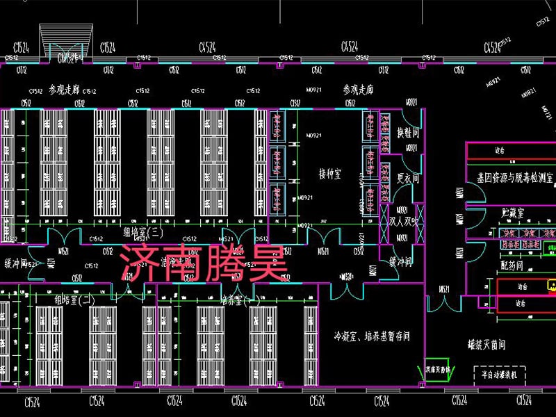 蜜桃视频无码区在线观看  蜜桃视频无码区在线观看室