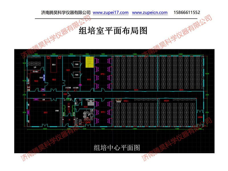 蜜桃视频无码区在线观看  蜜桃视频无码区在线观看室