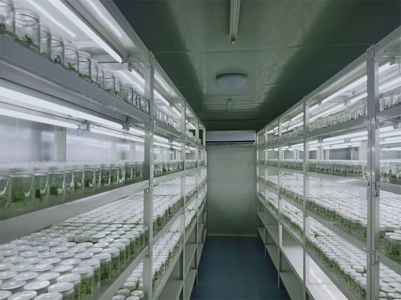 蜜桃视频无码区在线观看  蜜桃视频无码区在线观看架