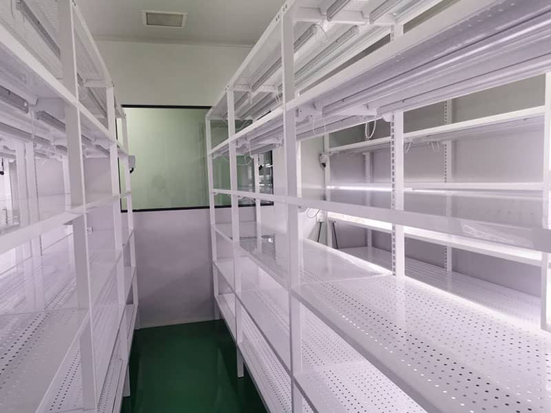 蜜桃视频无码区在线观看  蜜桃视频无码区在线观看架