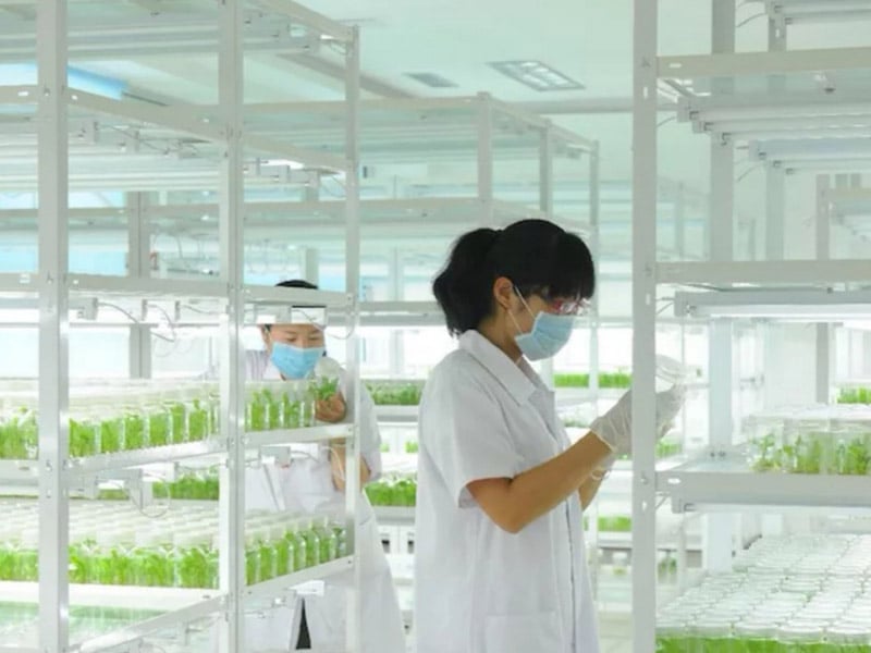 蜜桃视频无码区在线观看  蜜桃视频无码区在线观看架